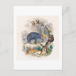 CARTE POSTALE vintage ANIMALE ROYAUME ILLUSTRATION