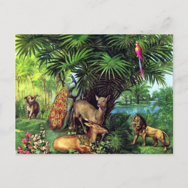 Carte Postale Vintage Animals (Devant)