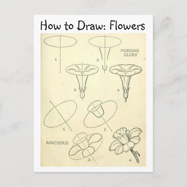 Carte Postale Vintage Apprendre à dessiner des fleurs (Devant)