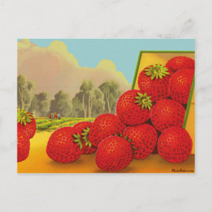 Carte postale Vintage Art Crate Étiquette fraise