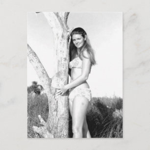 Carte Postale Vintage B&W Photo Floride Bikini Girl