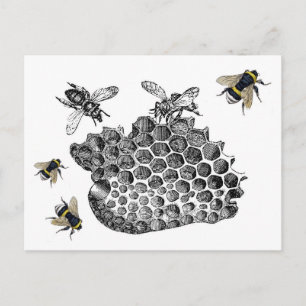 Carte Postale Vintage Bees