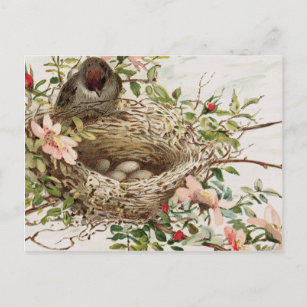 Carte Postale Vintage Bird in Nest Poster de animal