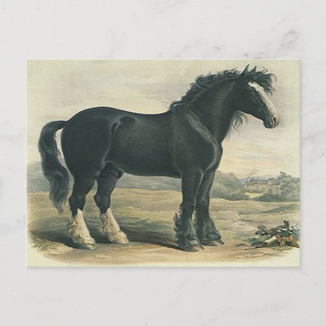 Carte postale Vintage Black Shift (Devant)