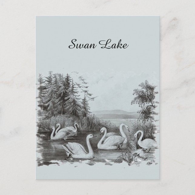 Carte postale vintage Blue Swan Lake (Devant)