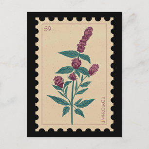 Carte Postale Vintage botanique Peppermenthe Floral