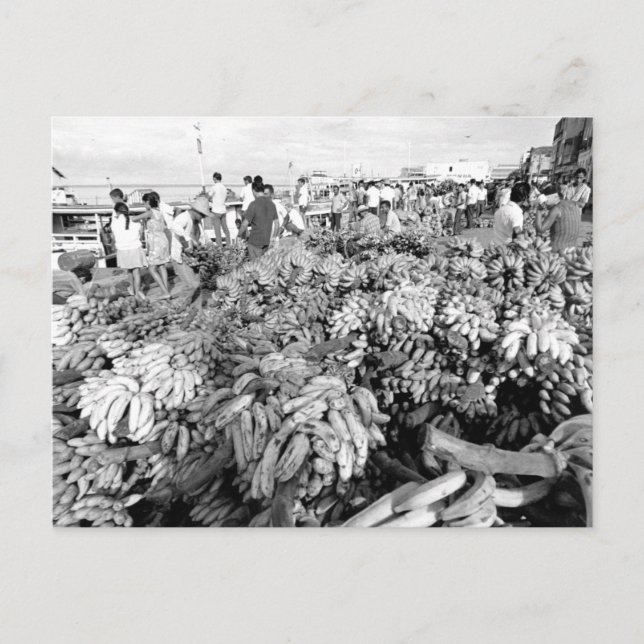 Carte Postale Vintage Brésil Manaus (Devant)