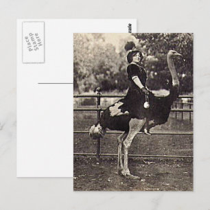 Carte Postale Vintage Broadway Actrice chevauchant une autruche