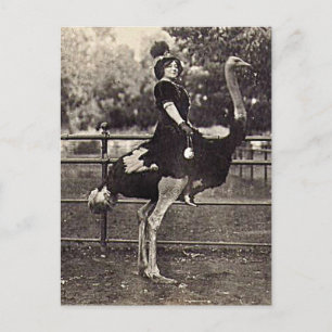 Carte Postale Vintage Broadway Actrice chevauchant une autruche
