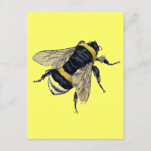 Carte Postale Vintage Bumble Bee