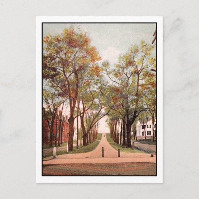 Carte Postale Vintage Calais Avenue, Calais, ME (Devant)