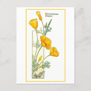 Carte postale vintage California Yellow Poppy