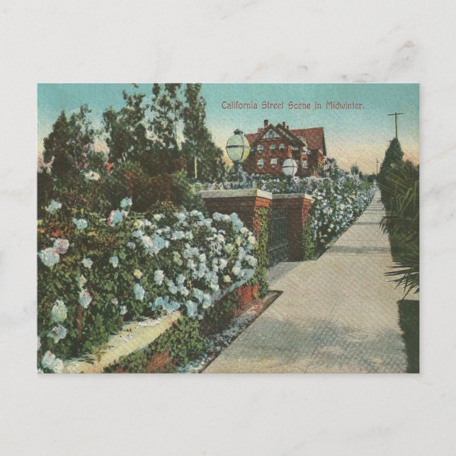 Carte Postale Vintage Californie (Devant)