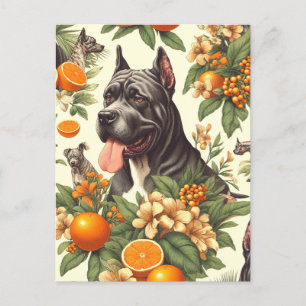 Carte Postale Vintage Cane Corso sans mer