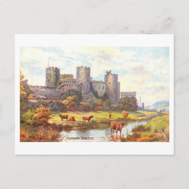 Carte Postale Vintage Castle Conwy  (Devant)