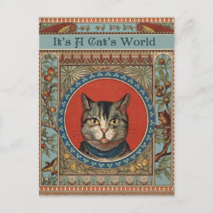 Carte Postale Vintage Cat's Life for Kitty Cat Classic