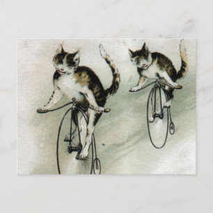 Carte Postale Vintage Cats on Bikes