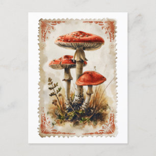 Carte postale vintage champignon rouge