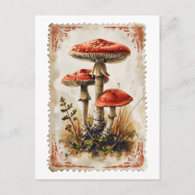 Carte postale vintage champignon rouge (Devant)