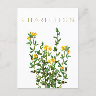Carte Postale Vintage Charleston voyage de fleurs du milieu du s