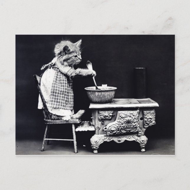 Carte postale vintage Chat en Cuisine vestimentair (Devant)