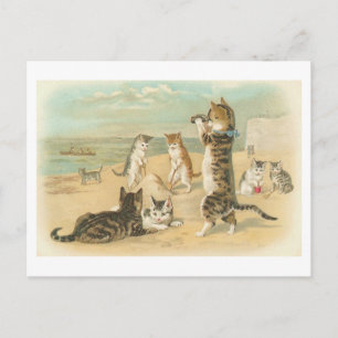 Carte postale Vintage "Chats sur la plage"