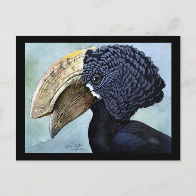 Carte postale Vintage Chicago Art-Abyssinian Birds (Devant)