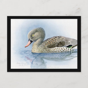 Carte postale Vintage Chicago Art-Abyssinian Birds