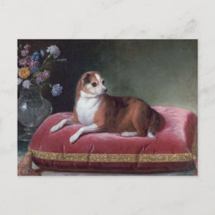 Carte Postale Vintage Chihuahua Portrait