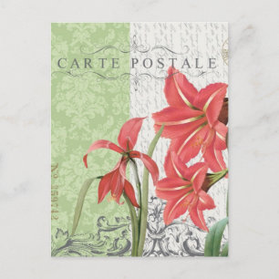 Carte postale Vintage Christmas-Amaryllis