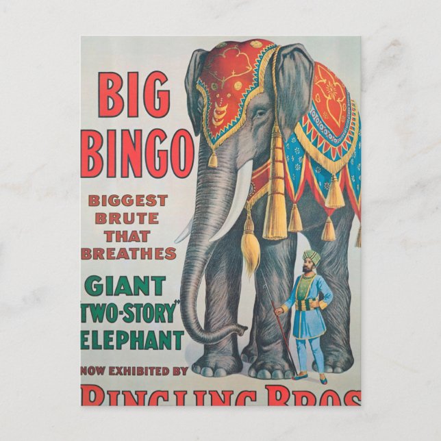 Carte Postale Vintage : cirque Barnum & Bailey - (Devant)