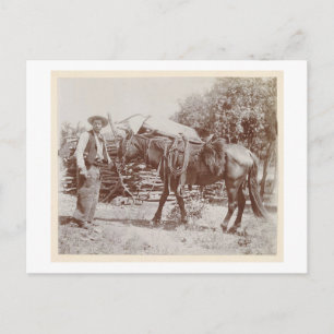 Carte Postale Vintage Cowboy 1900