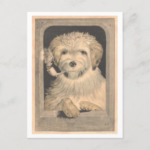 Carte Postale Vintage Currier & Ives Chien Fumer un tuyau