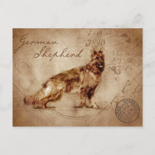 carte postale vintage de berger allemand