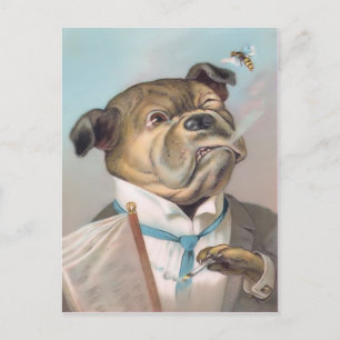 Carte postale vintage de chien d'affaires
