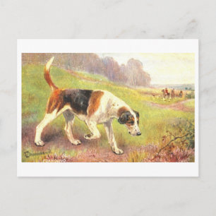 Carte postale vintage de chiens de chasse au renar