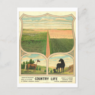Carte postale Vintage de l'agriculture