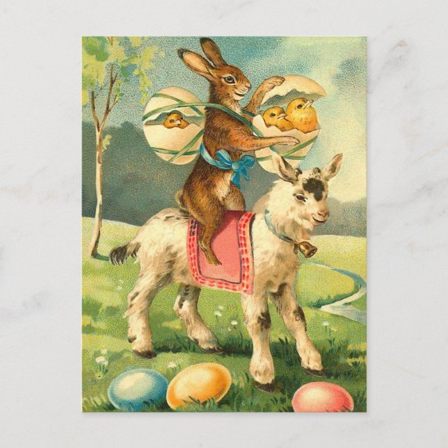 Carte postale vintage de lapin de Pâques (Devant)