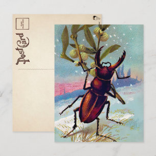Carte postale vintage de Noël de Bug victorien
