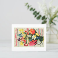 Carte postale vintage de paquets de semences