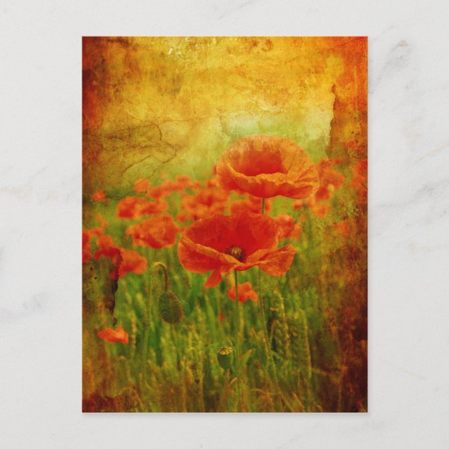 Carte Postale Vintage de pavots rouges (Devant)