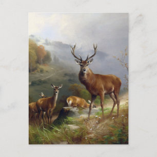 Carte Postale Vintage Deer Stag - Animaux Vieux Illustration Art