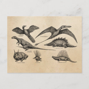 Carte Postale Vintage Dinosaure Illustration Retro Dinosaures