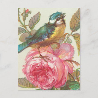 Carte postale vintage d'oiseau
