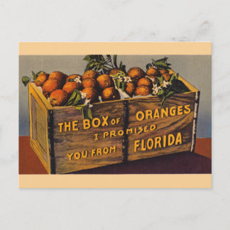 Carte postale vintage d'oranges de la Floride