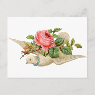 Carte Postale Vintage Dove et Rose