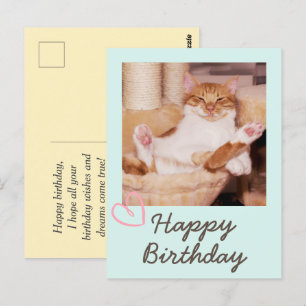 Carte postale vintage drôle chat et joyeux anniver