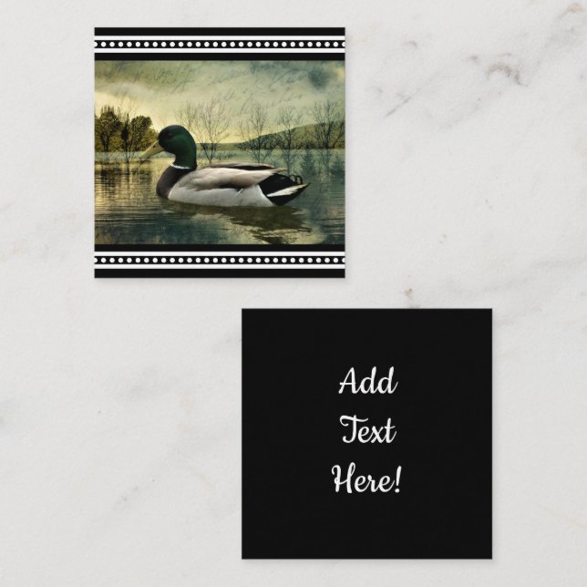 Carte postale vintage du canard colvert altérée  (Devant / Derrière)