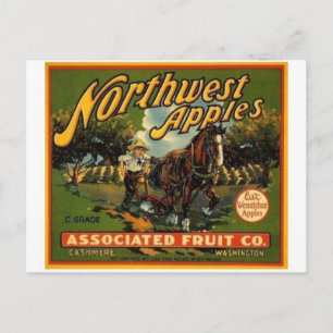 Carte postale vintage du Étiquette Crate