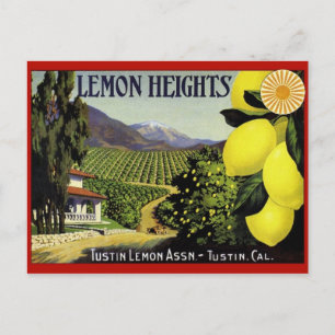 Carte postale vintage du Étiquette Crate